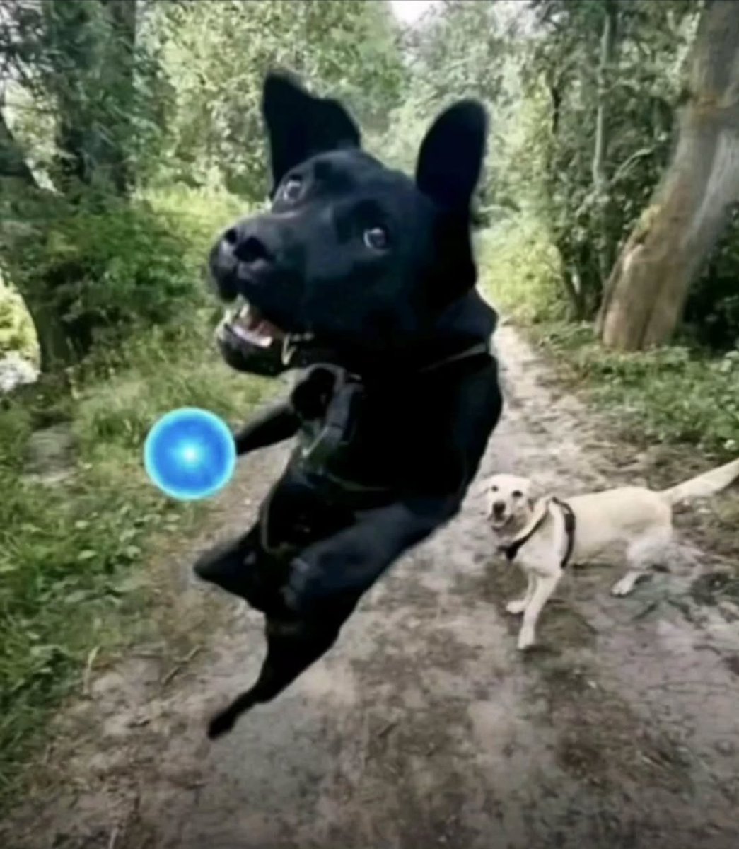 theimpregnator tweet media