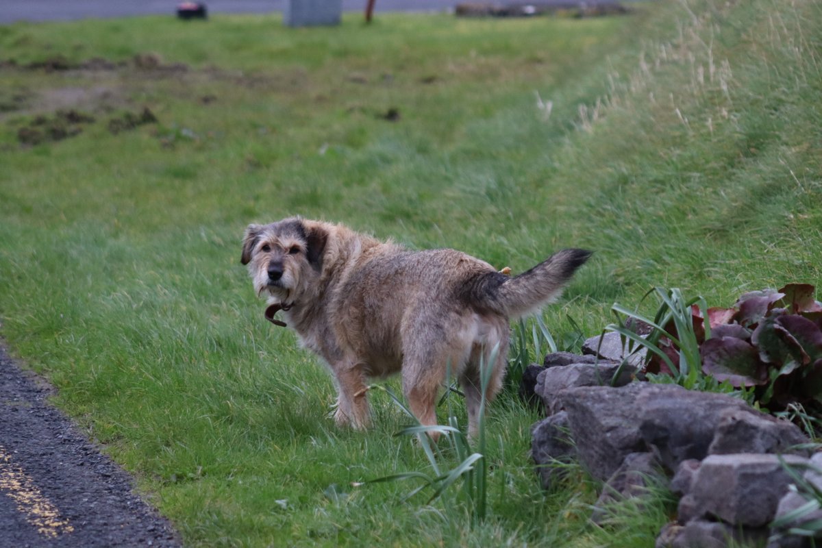 BM Malone tweet media