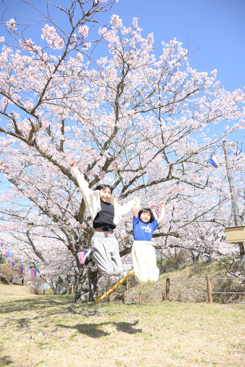 茨城県　常陸太田市 tweet media