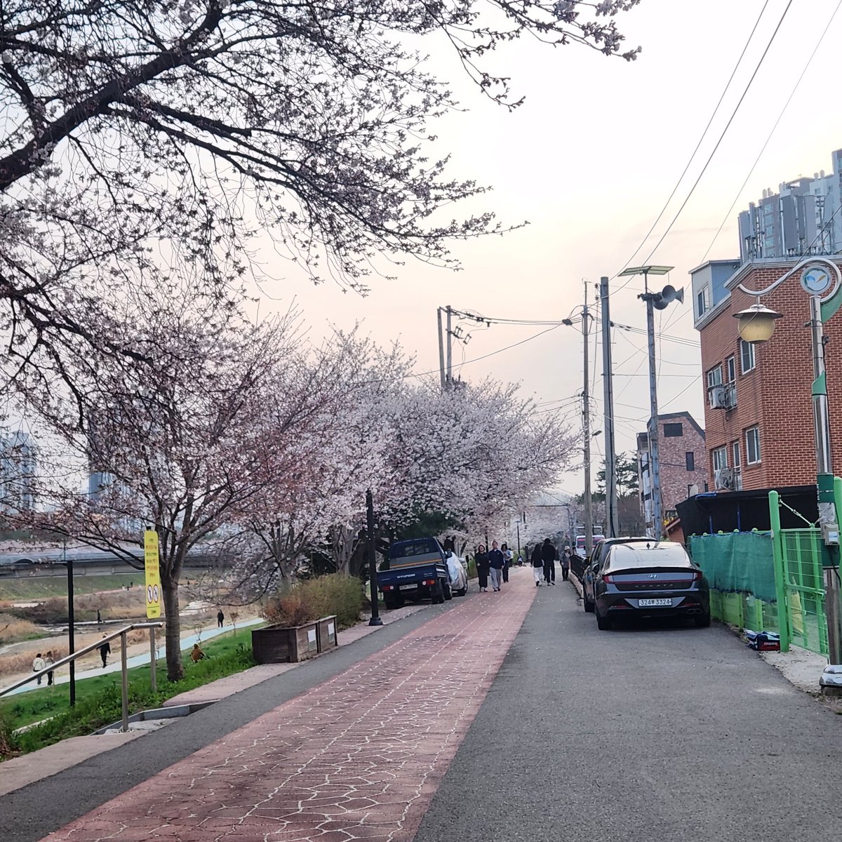 ๐ปํด๋ฐ๋ผ๊ธฐ์์ฐ๐ป tweet media