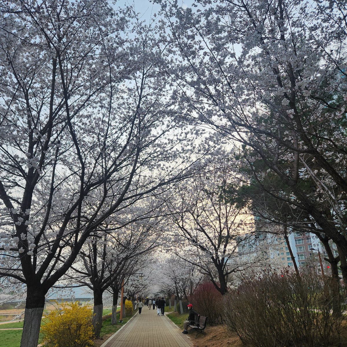 ๐ปํด๋ฐ๋ผ๊ธฐ์์ฐ๐ป tweet media