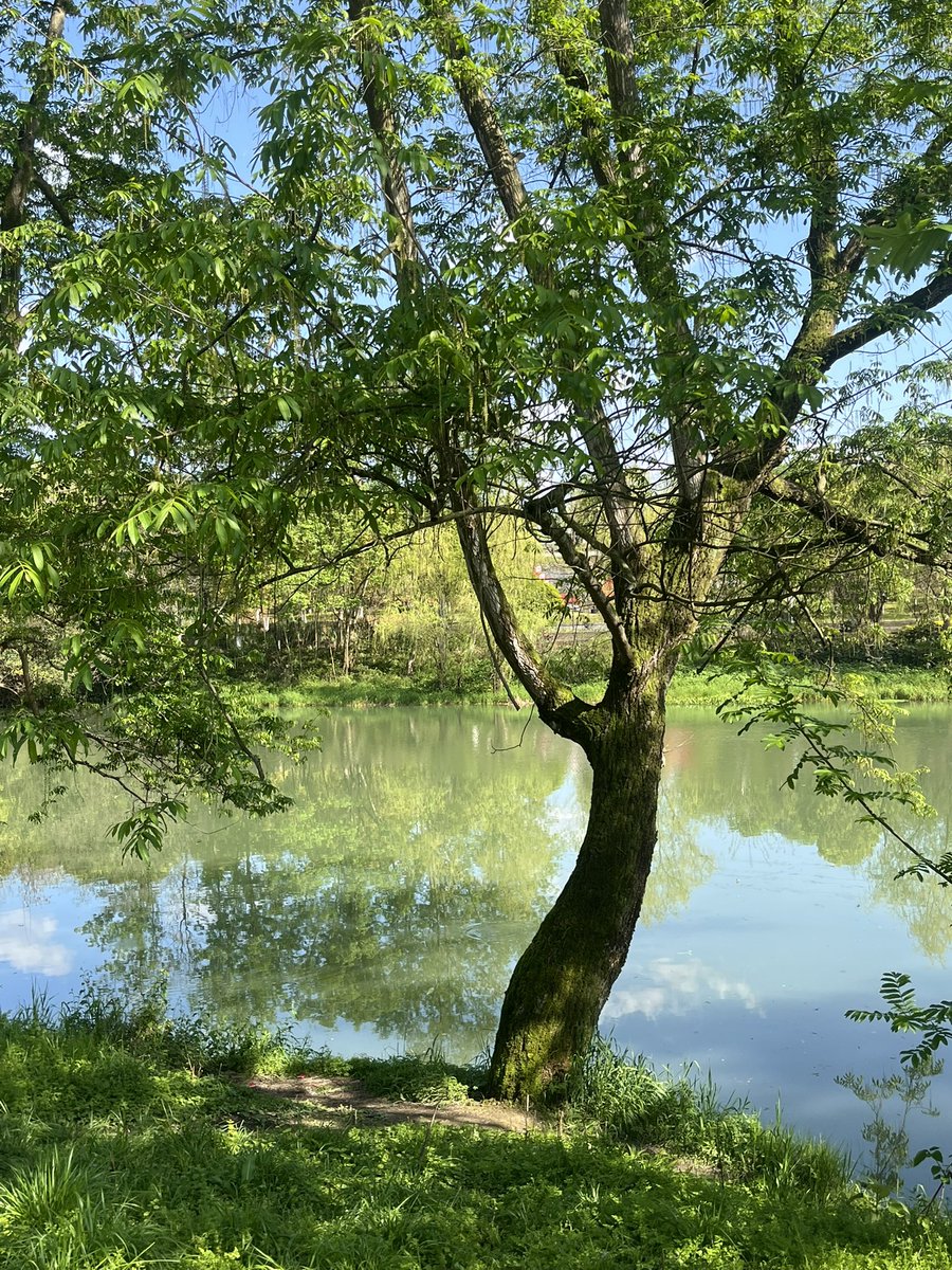 我的智齿可疼了 tweet media