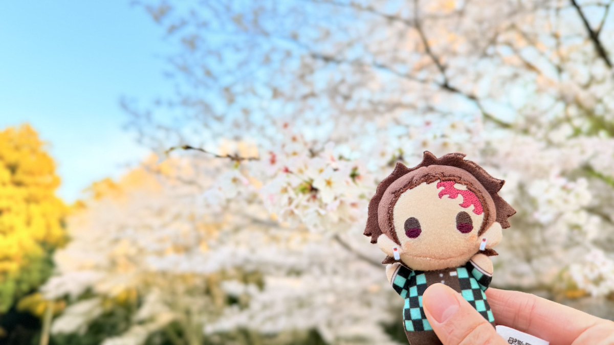 こおり@池a!4/5 tweet media