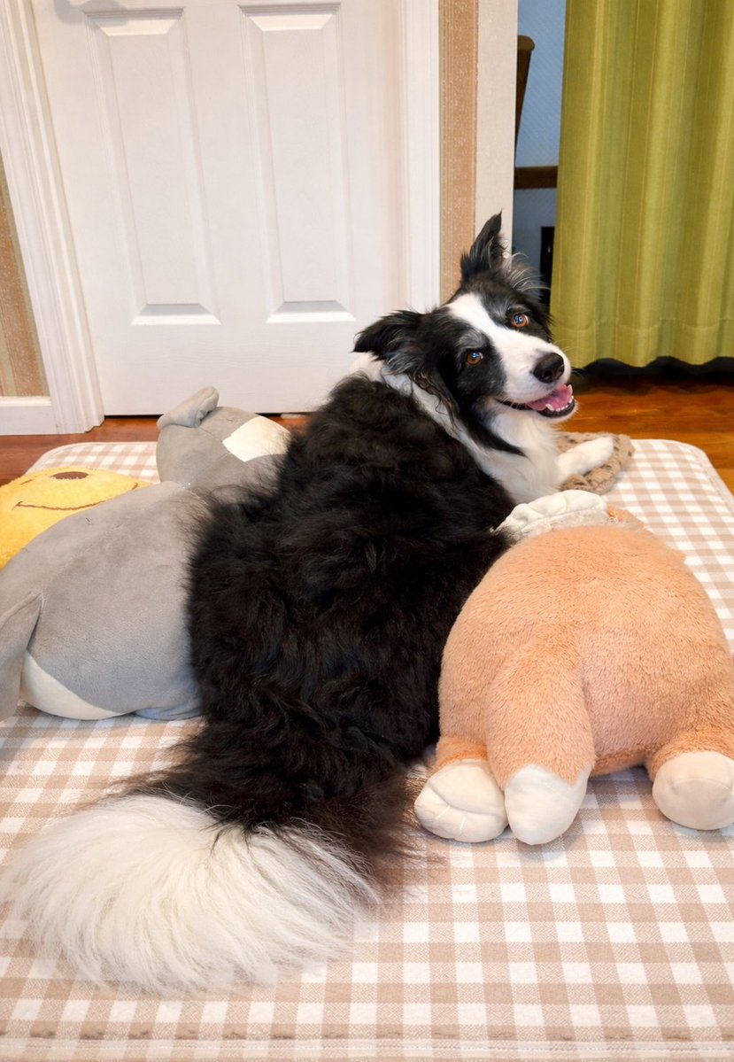 🎀𝐏𝐫𝐢𝐧𝐜𝐞𝐬𝐬 𝐑𝐮𝐛𝐲🎀 tweet media