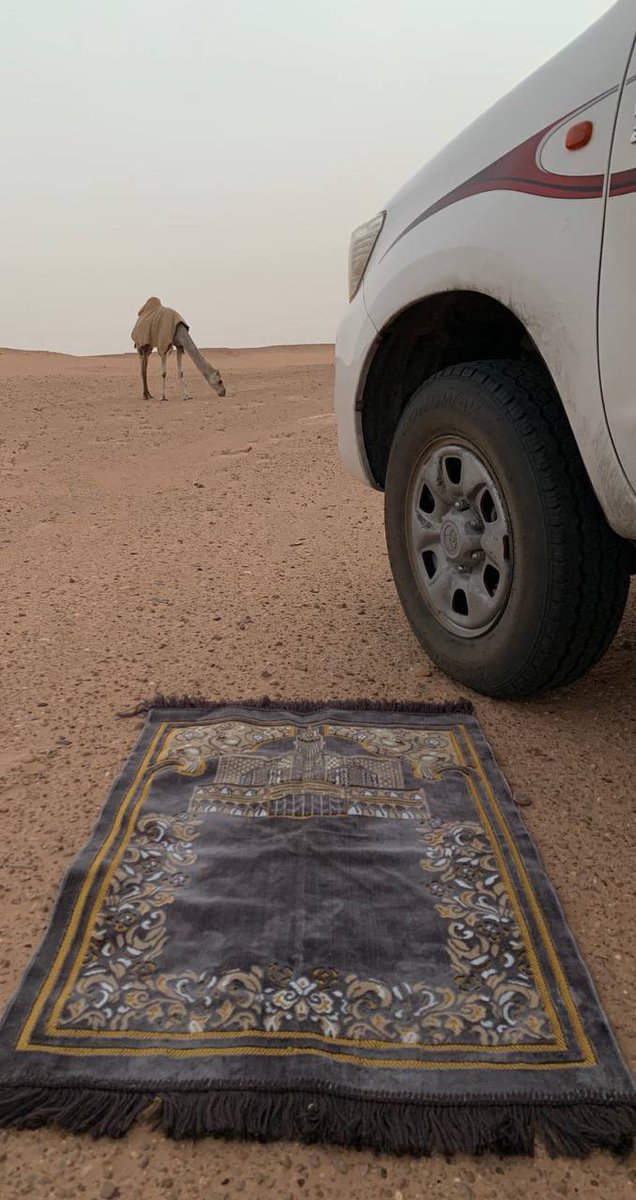 الريم.. ‏𐂂 tweet media