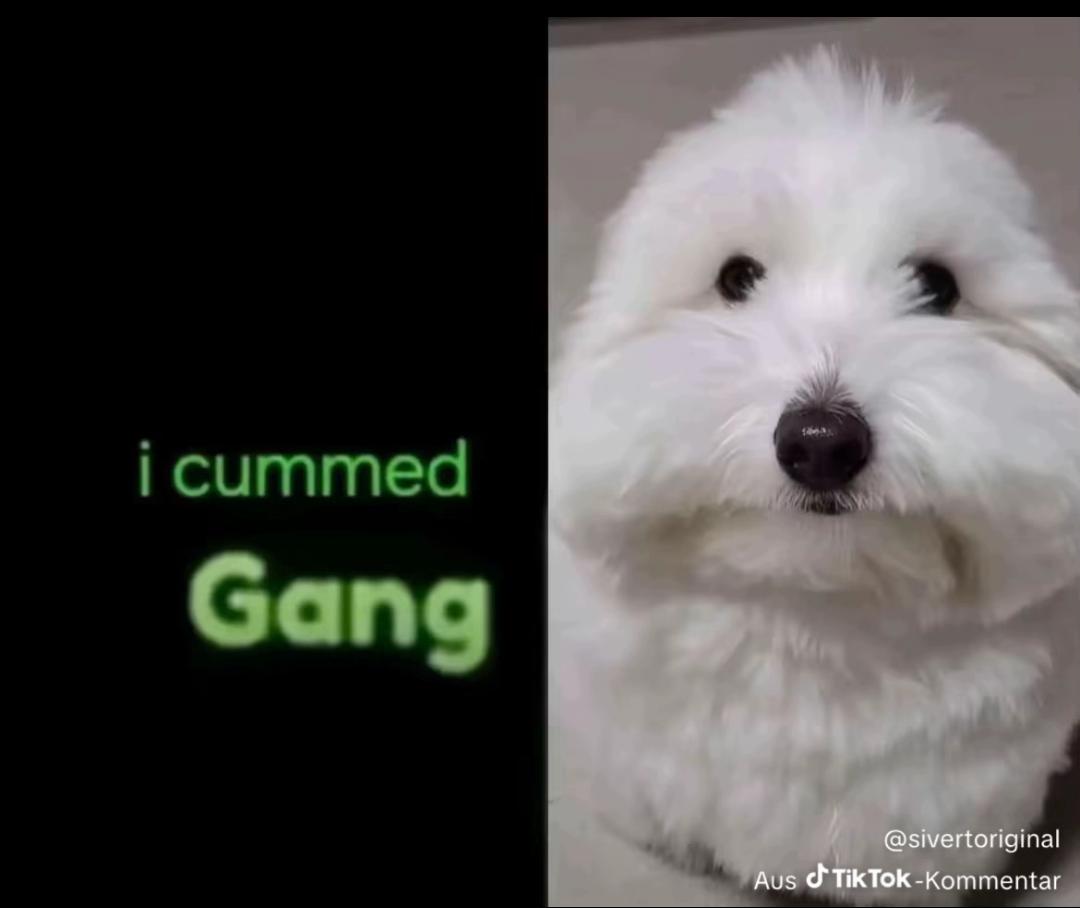 Savitar_708 tweet media