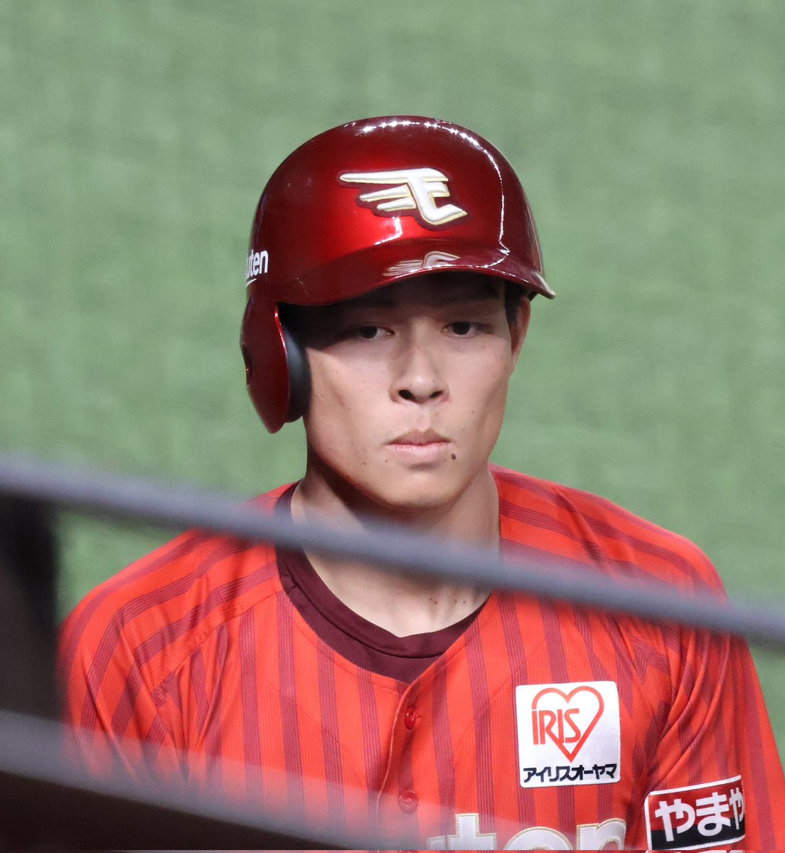 真夏の王国 tweet media