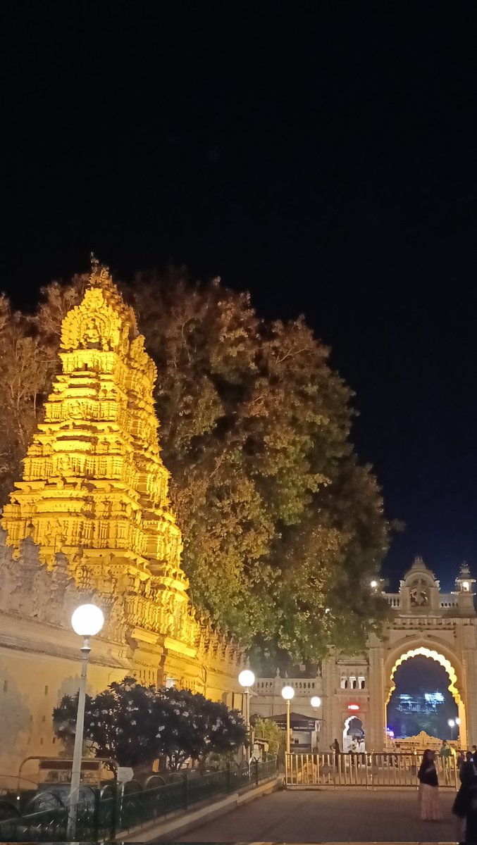 crox 🌱 tweet media