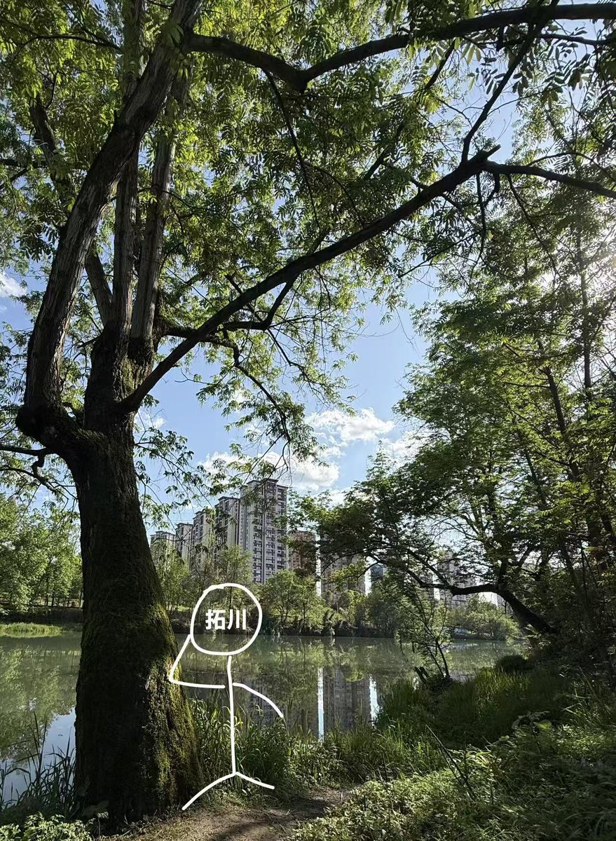 我的智齿可疼了 tweet media