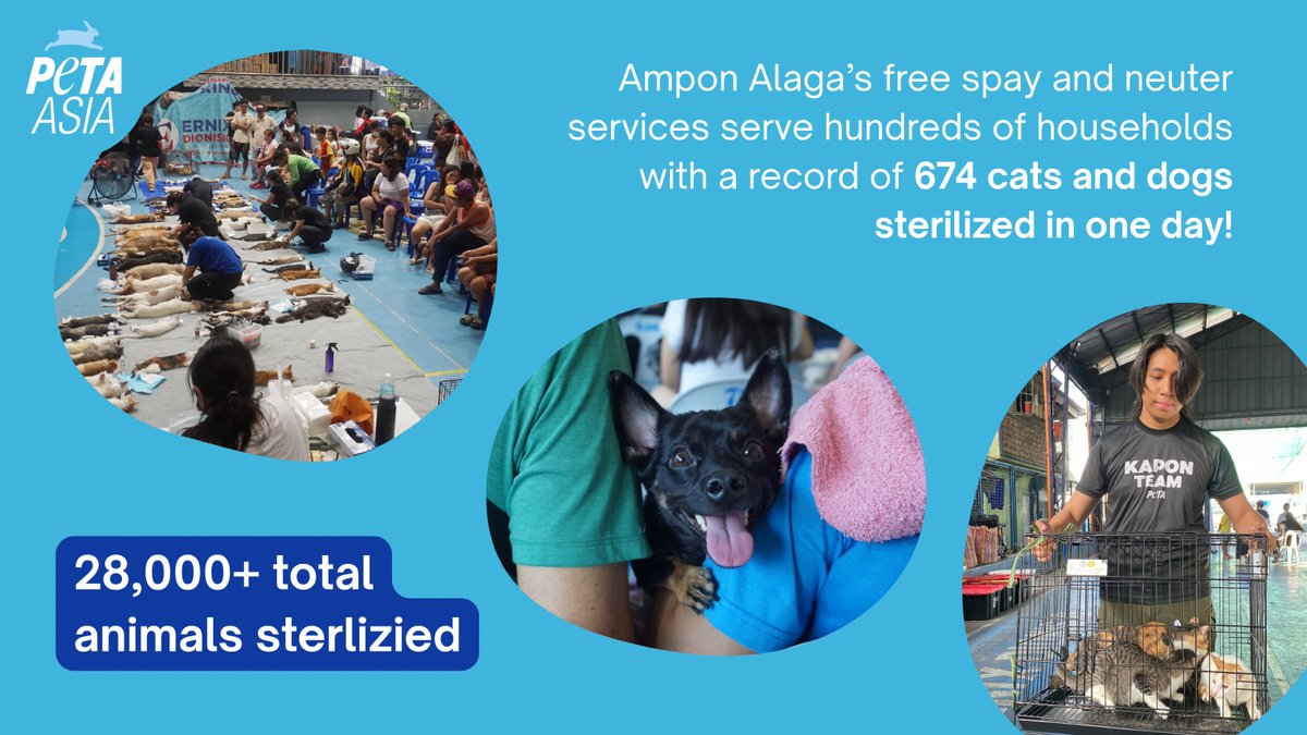 PETA Asia tweet media