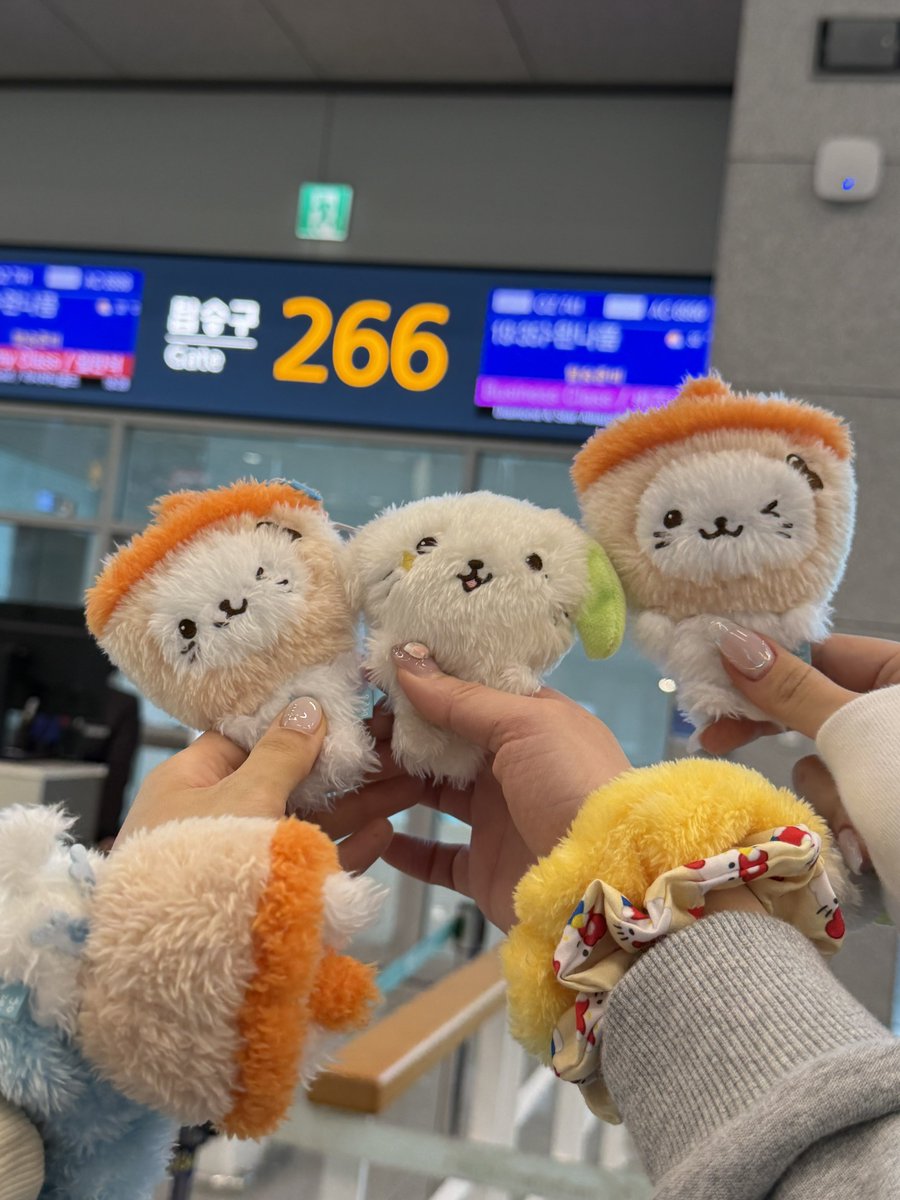 료리꾸 tweet media