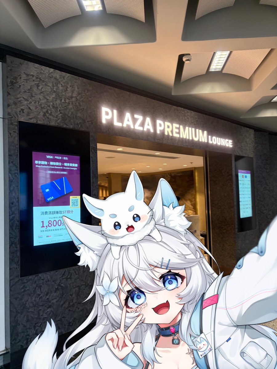 白崎銀狐-はくこ🦊 tweet media