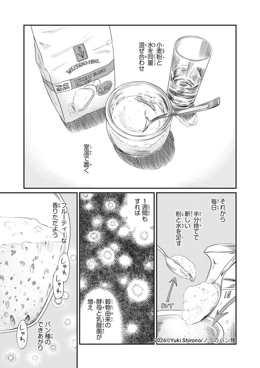 少し寂れた近未来に、古代のパン種「サワー種」でビールパンを焼く話。
(0/8)

#ノラのパン種
#漫画が読めるハッシュタグ 
