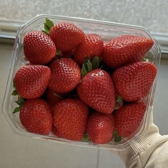 13:13🌿🦋 tweet media