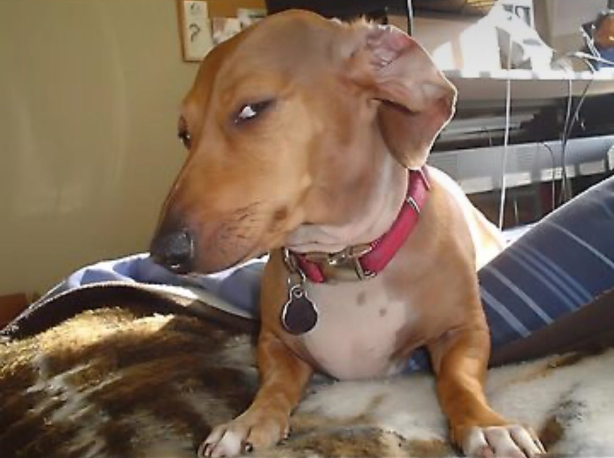 Im unsure tweet media