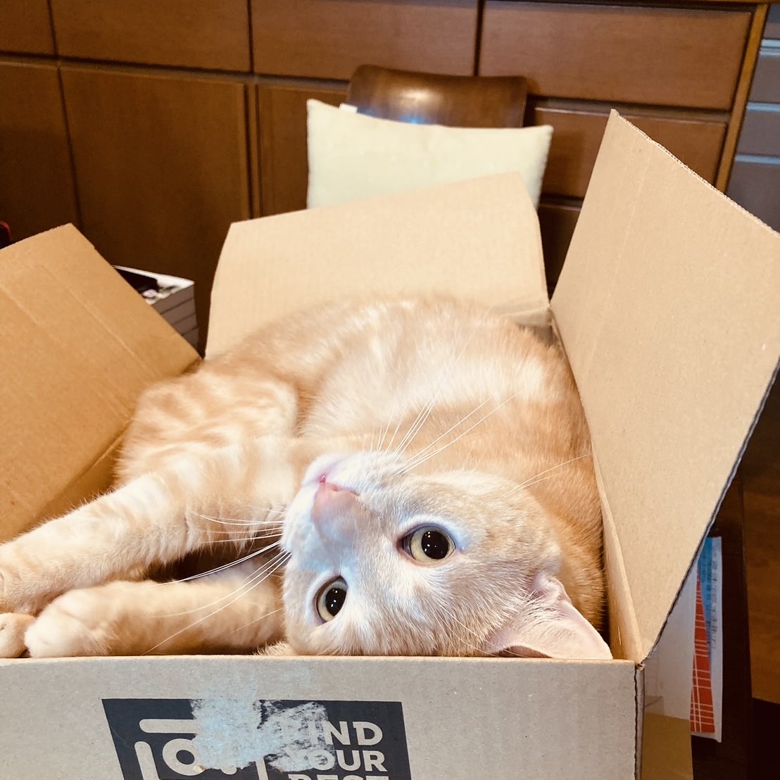 綾辻行人 tweet media