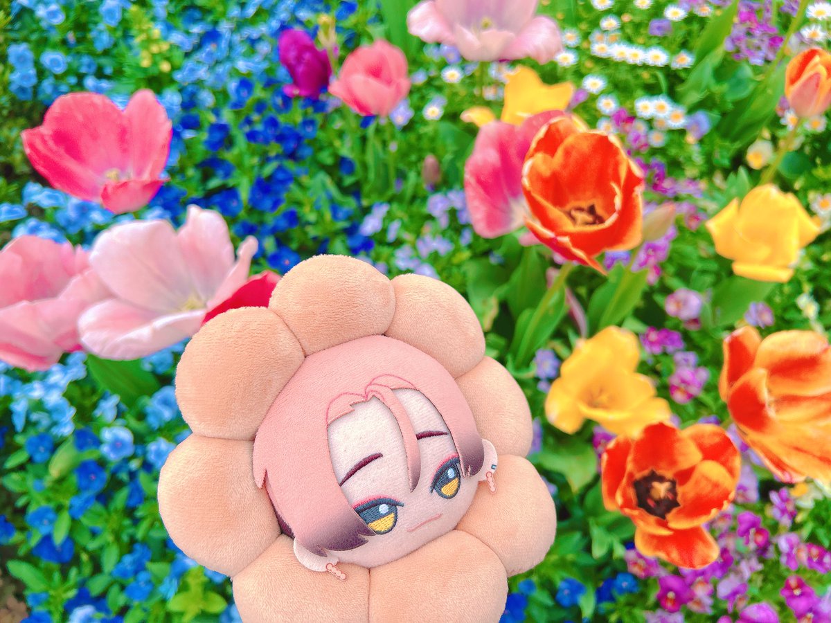 あらた tweet media