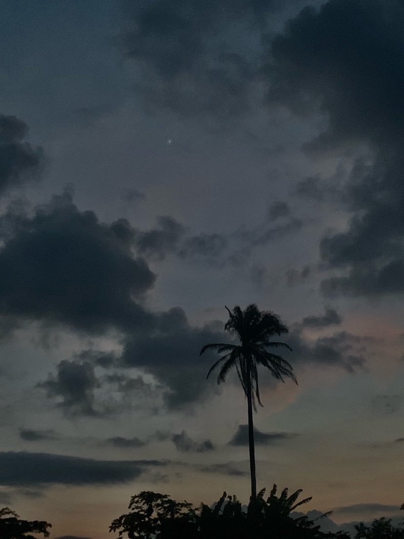 tumtumꨄ︎ tweet media