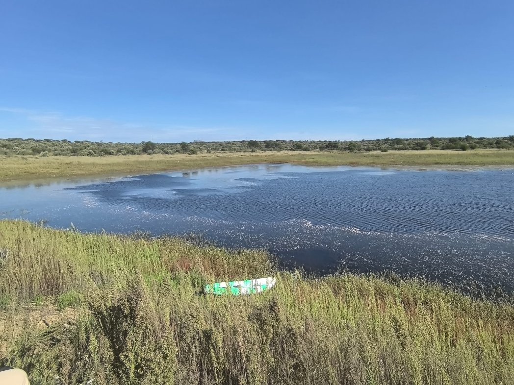 it's by deesign tweet media