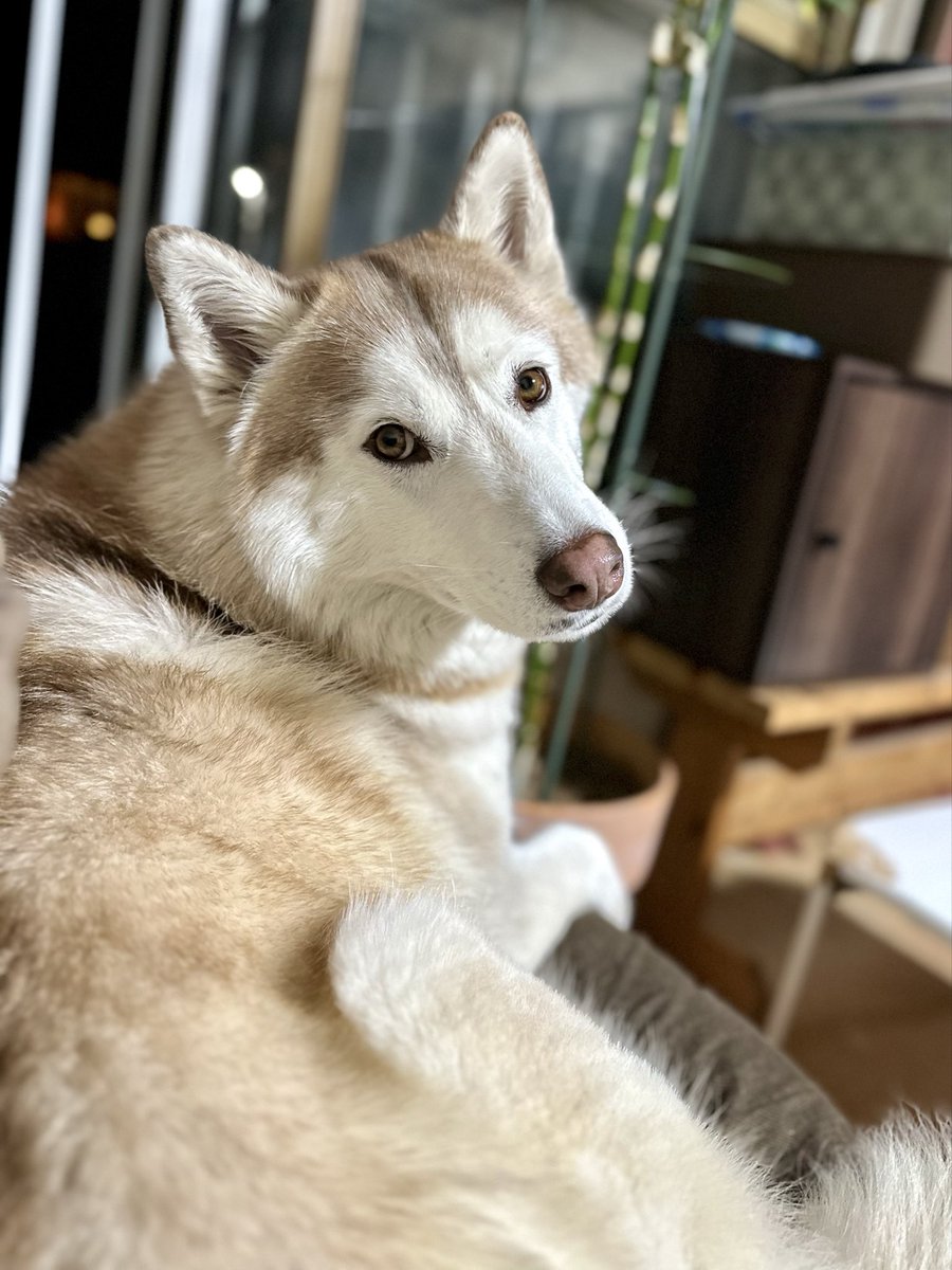 三代目 tweet media