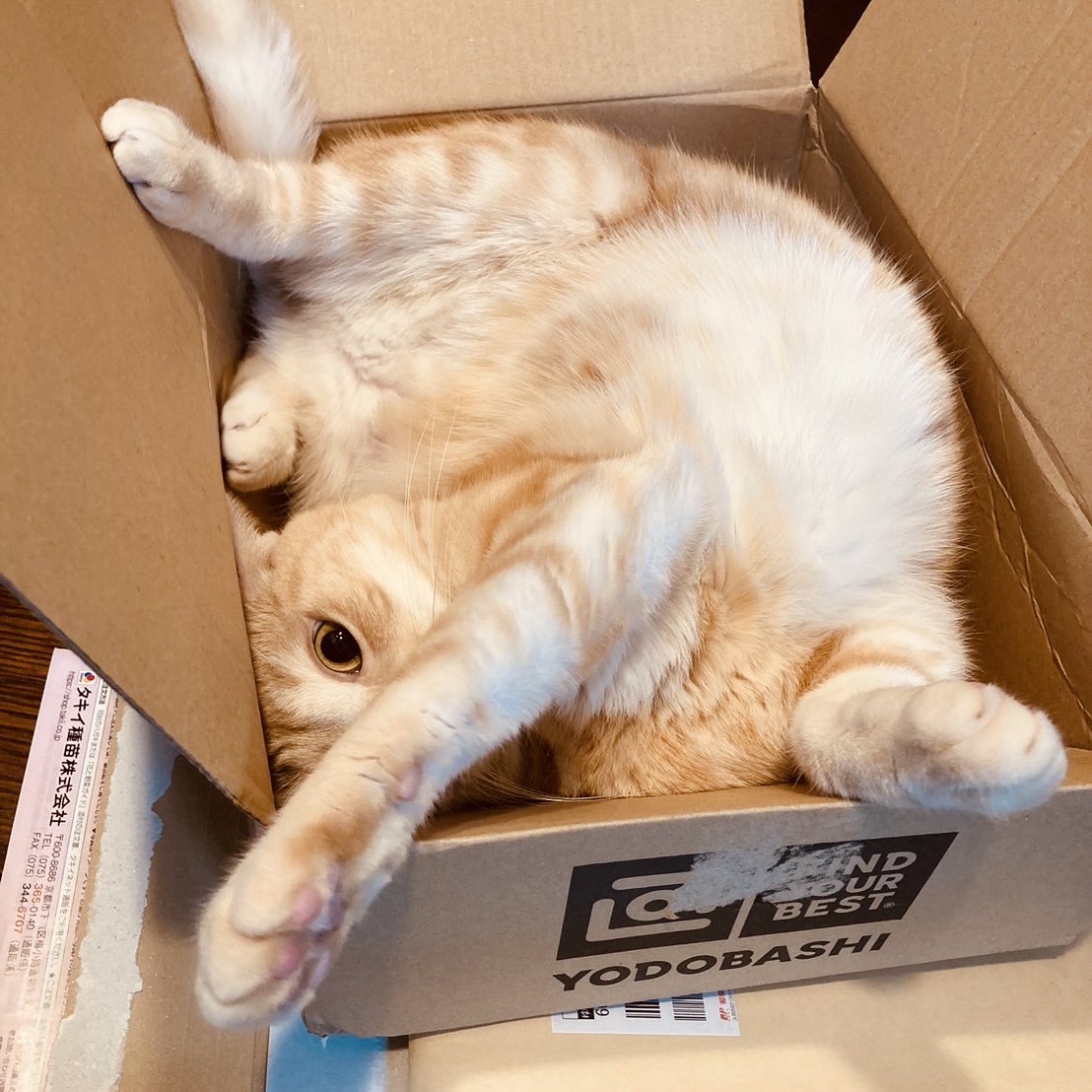 綾辻行人 tweet media