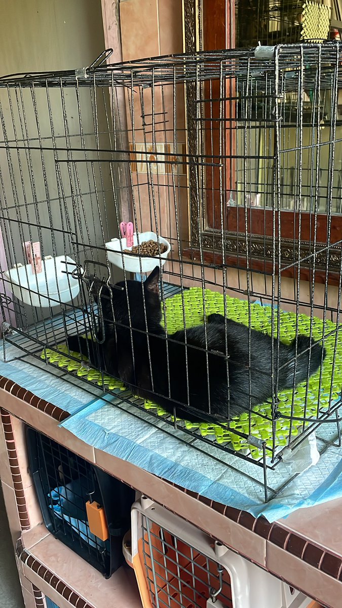 نینا✨ tweet media