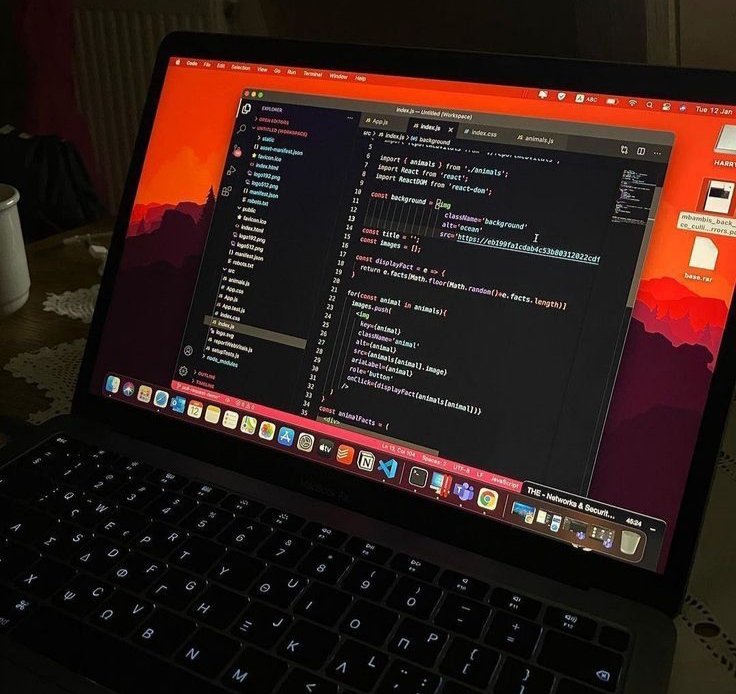 𝖵𝗂𝗄𝖺𝗌 tweet media