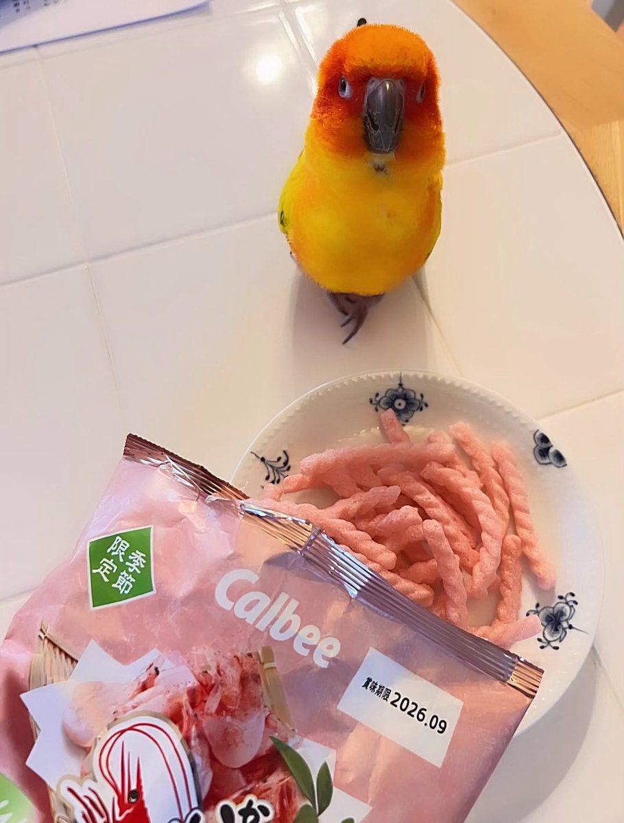 み－ちゃ tweet media