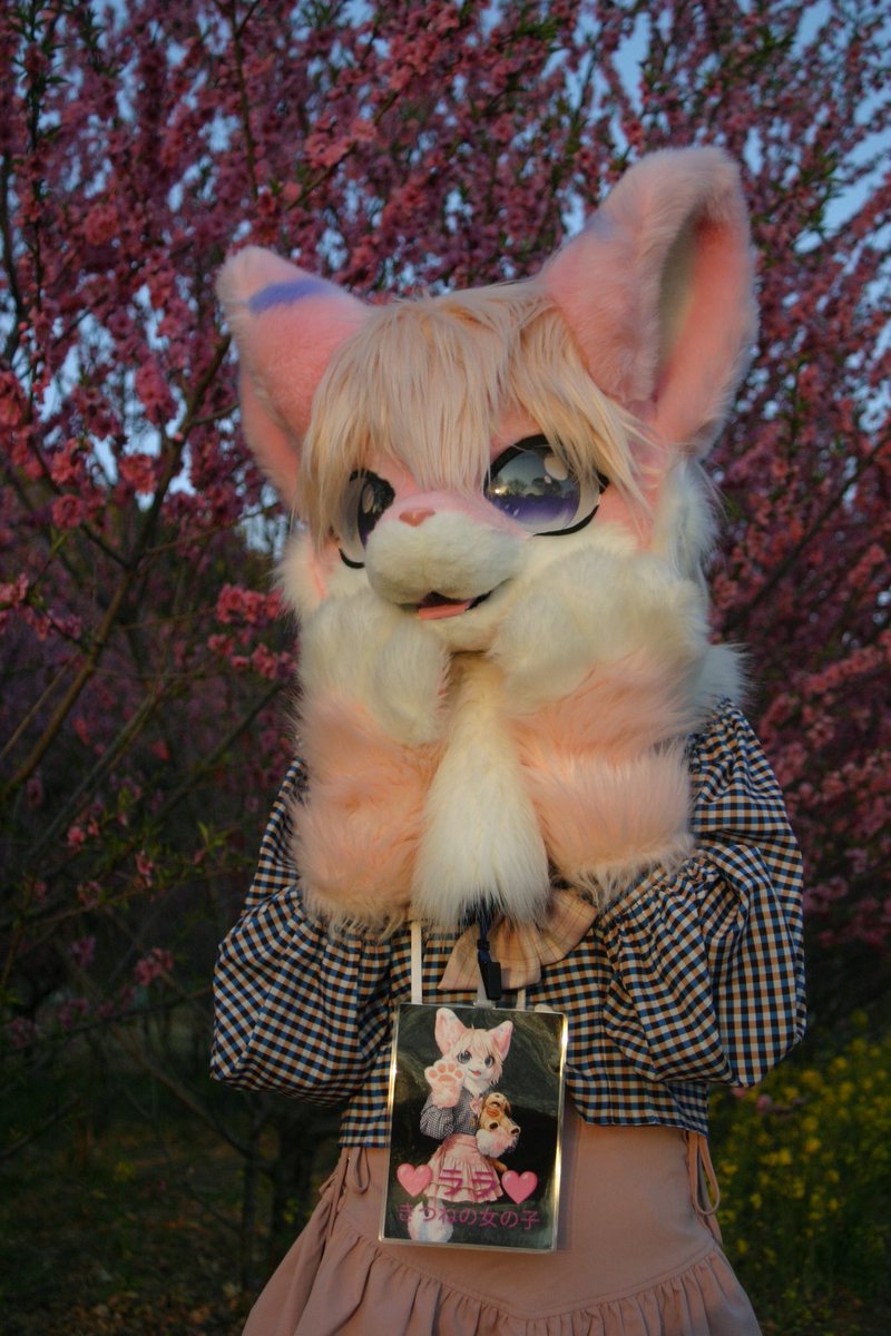 奈々 (ララ) #もふもふ🦊 tweet media