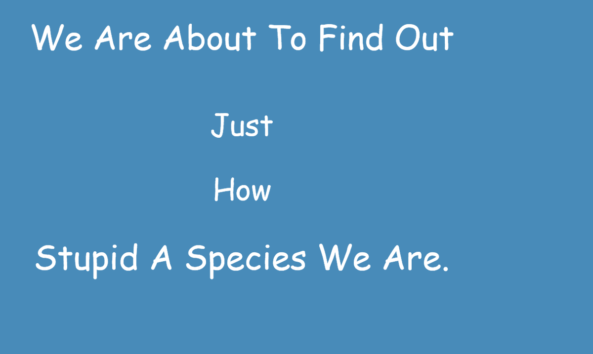 Chay ☯♋Pureblood Truther tweet media