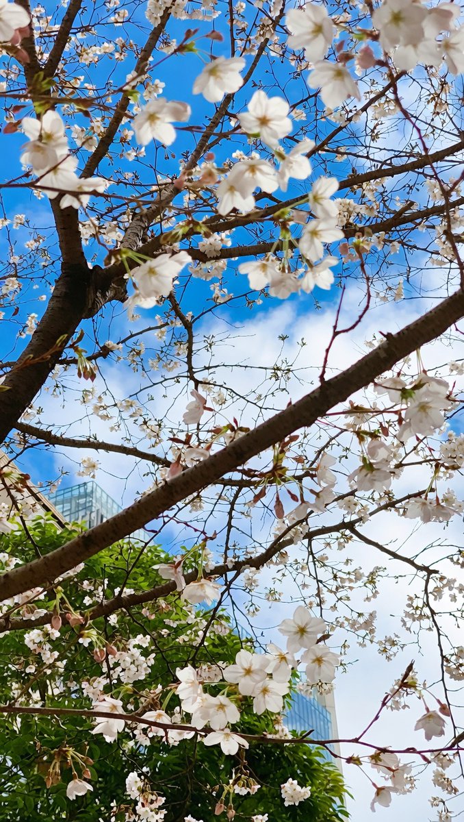 ドルリヘコ🔞一次創作/COMITIA tweet media