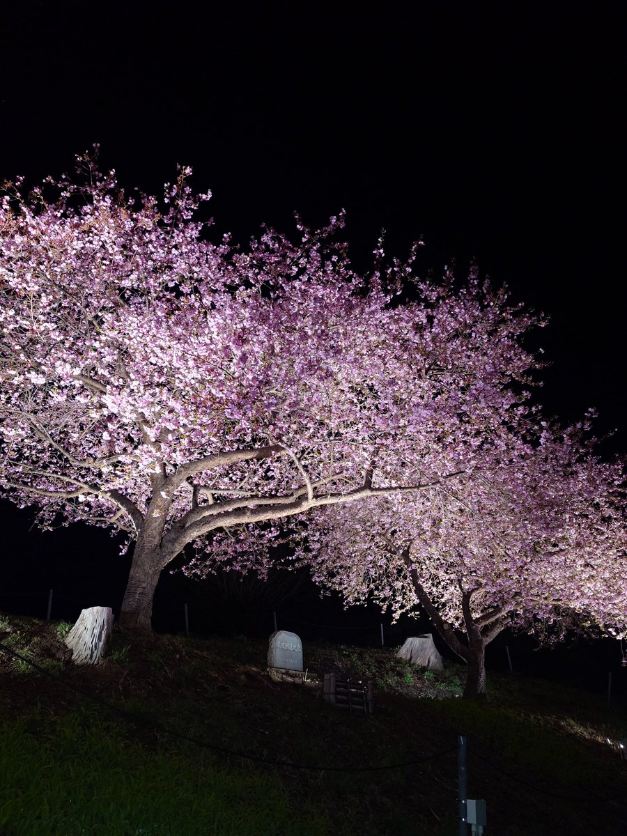 のり弁。 tweet media