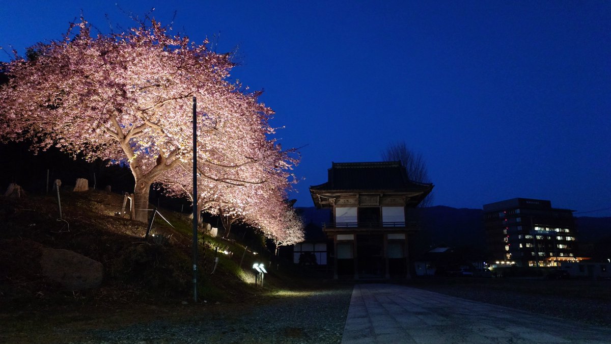 のり弁。 tweet media