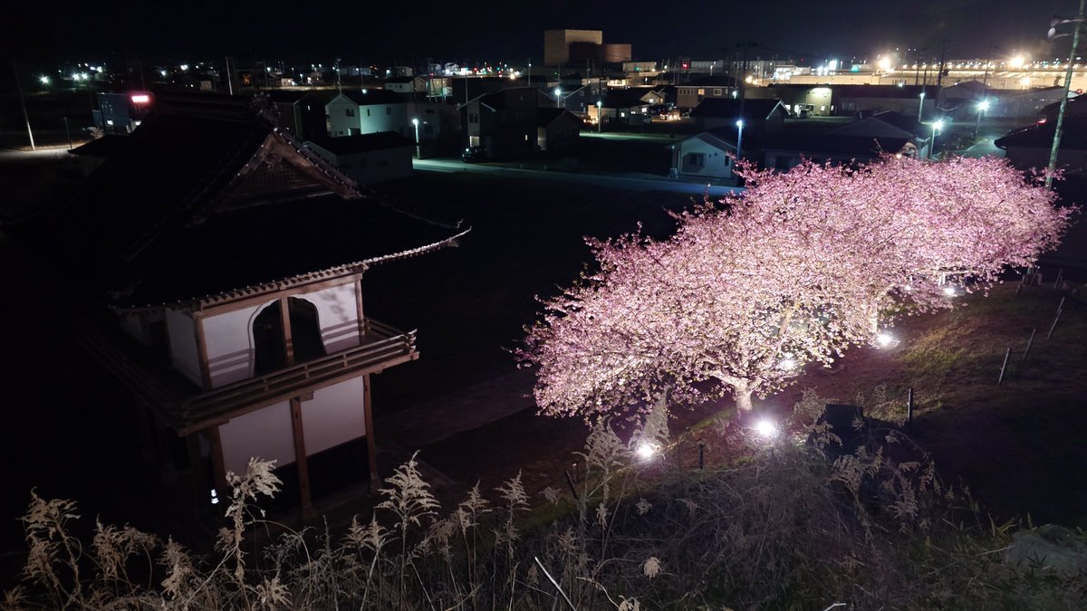 のり弁。 tweet media