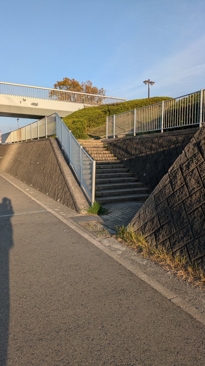 ぺんた tweet media