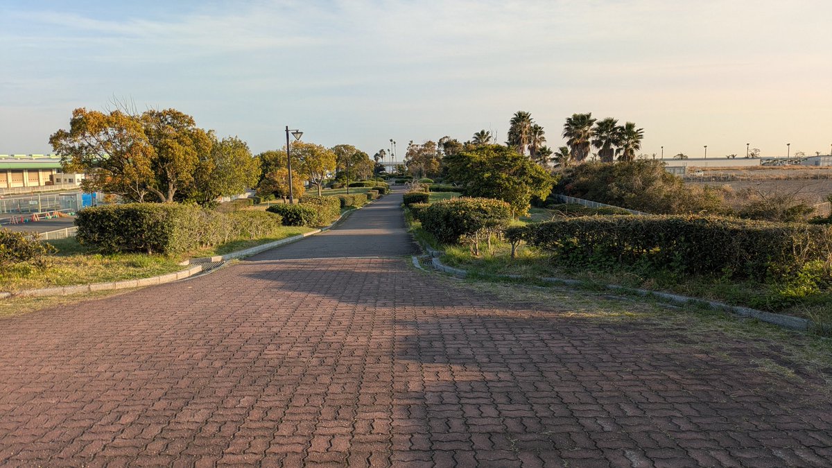 ぺんた tweet media