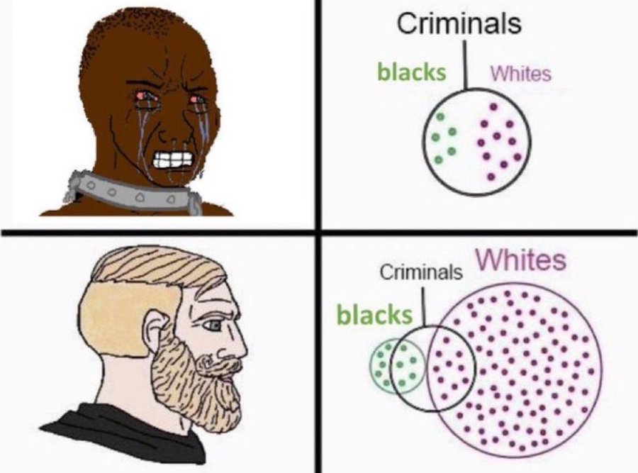 Leon Battista Alberti 🐊 tweet media