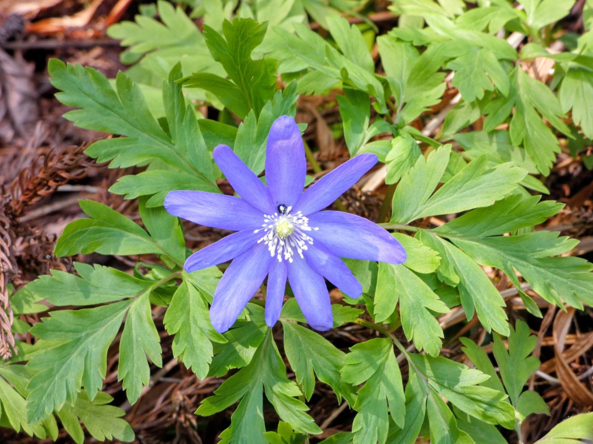 たけなかいさお tweet media