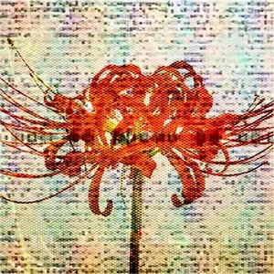 SiLiS / Raveille tweet media