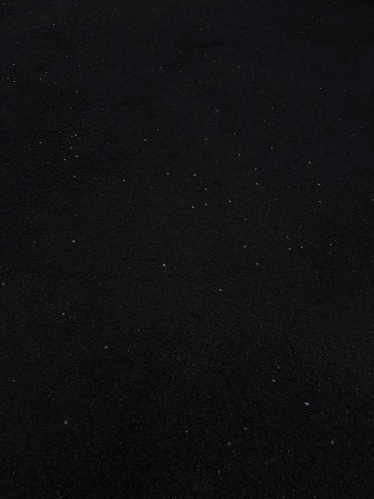 깅 고 양 tweet media