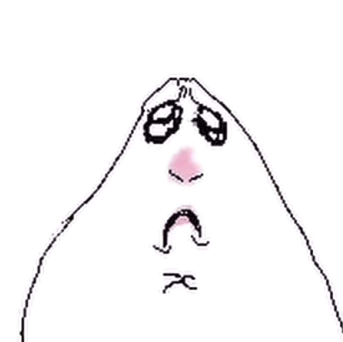 sanfllower's tweet photo. guys…?? what did I just wake up to… https://t.co/h6Lz1TuyFV