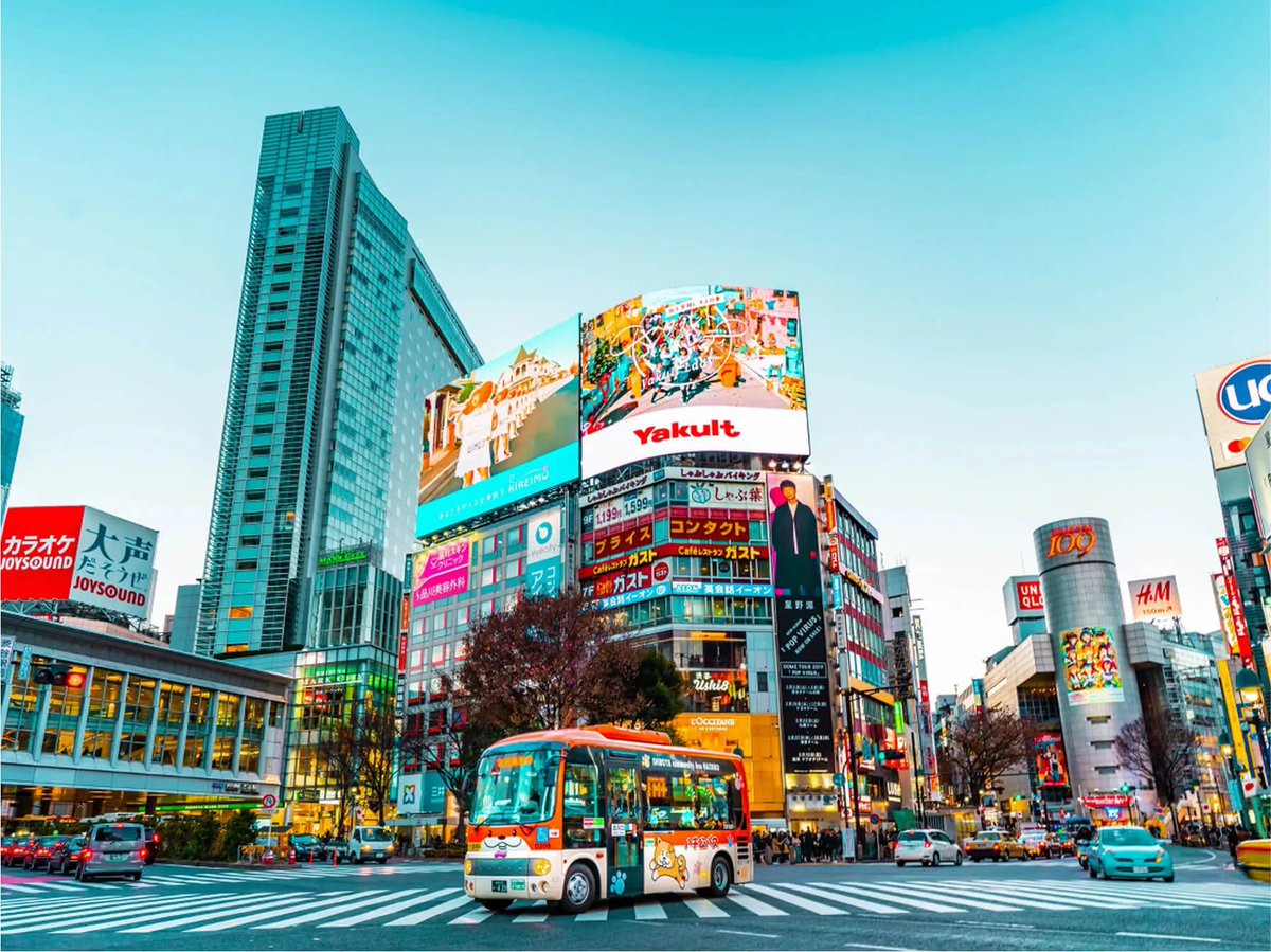 الزعيم العالمي 💙90💙 日本大好きサウジ🇸🇦❤️ tweet media