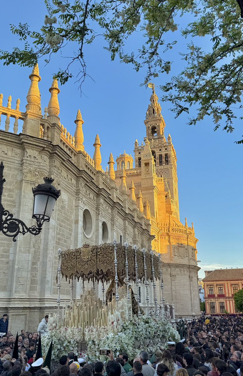 #SSantaSevilla2026. <a href="/EspDeTriana/">Esperanza de Triana</a>
