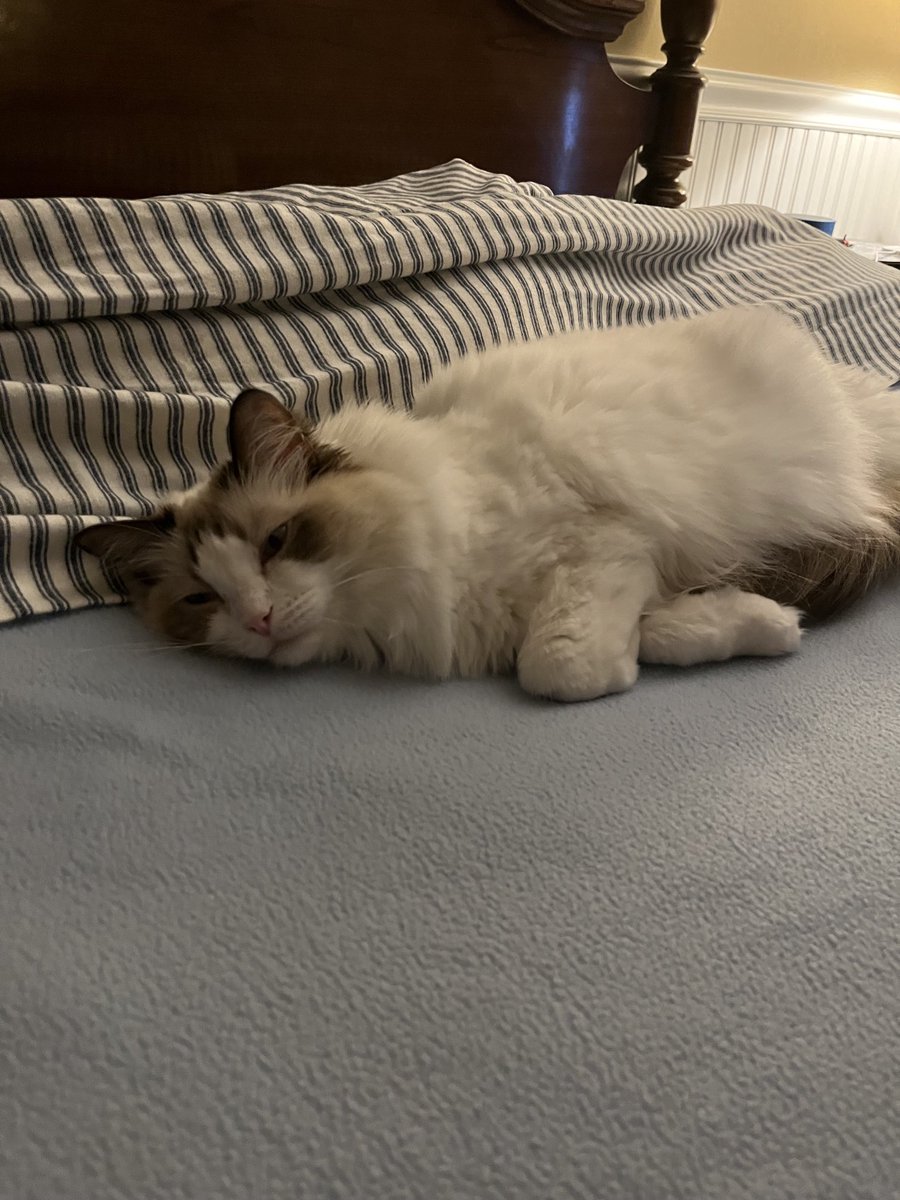 DaisyCatNine's tweet image. It’s #finallyFriday. Let’s hide Easter eggs, and read! #amreading #amwriting 

amazon.com/My-Life-Helen-…