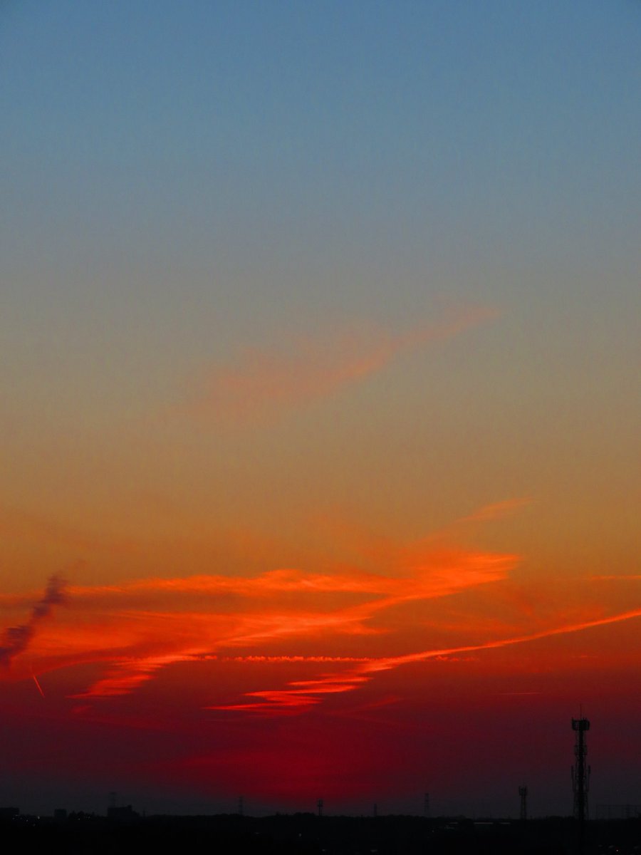 荒木健太郎 tweet media