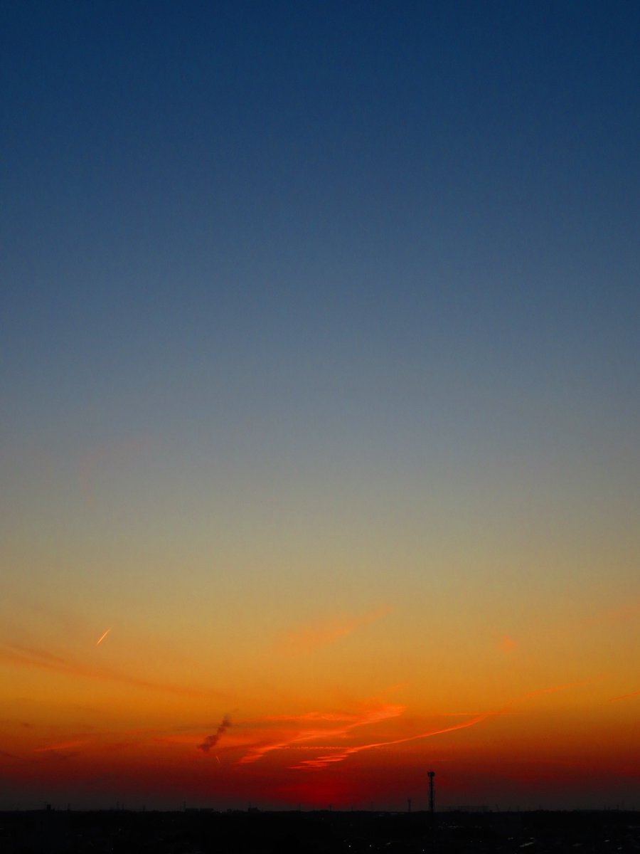 荒木健太郎 tweet media