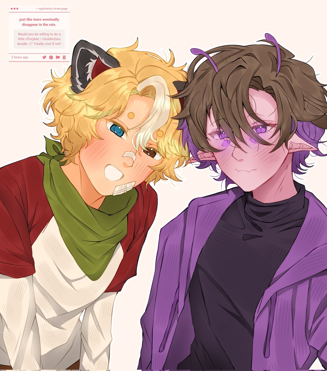 avee ★ tweet media