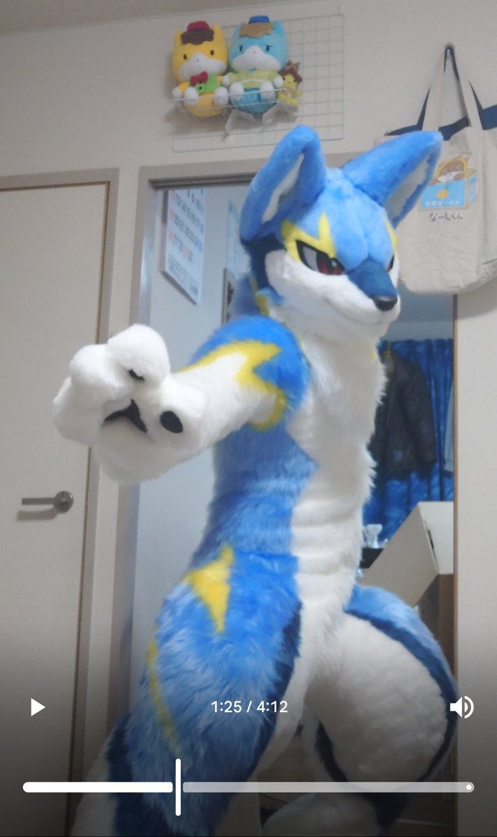 高知のふかばか tweet media