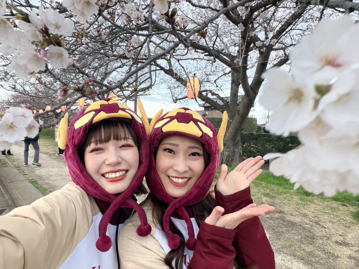 Yuki(越谷アルファーズ) tweet media