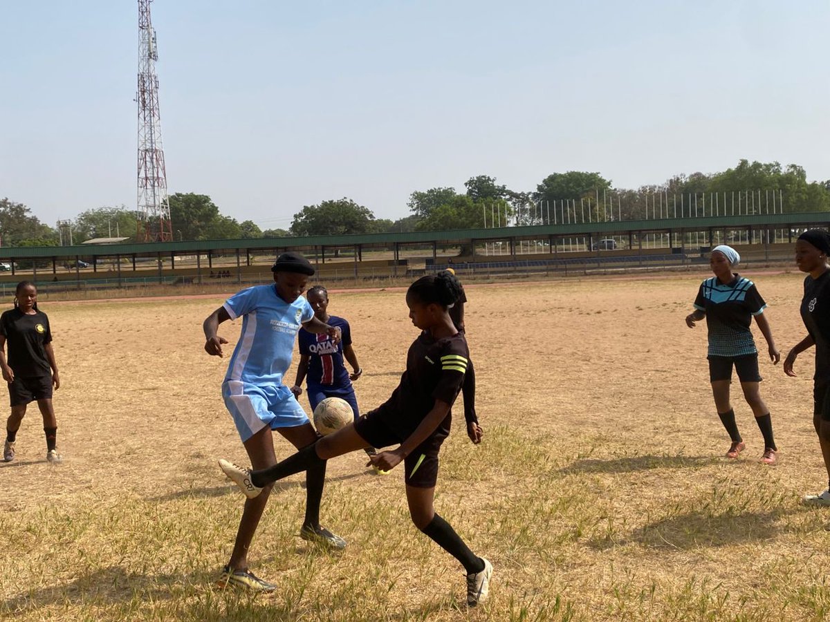 El - Marooph tweet media